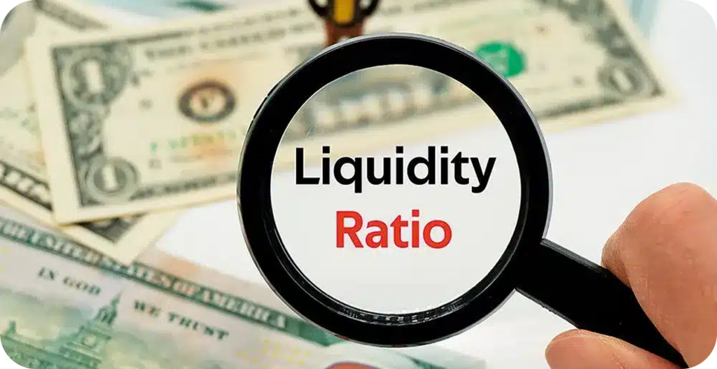 Liquidity Ratios and Short-Term Stability - Nordic Talous Oy